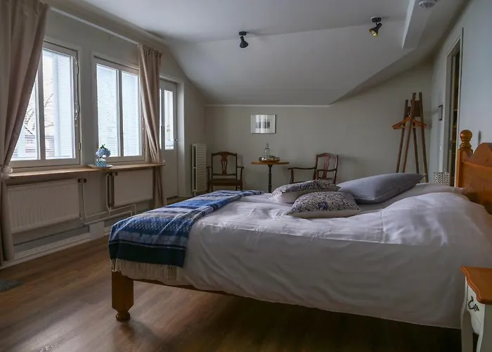 Cafe-restaurant & Saima * Савонлинна