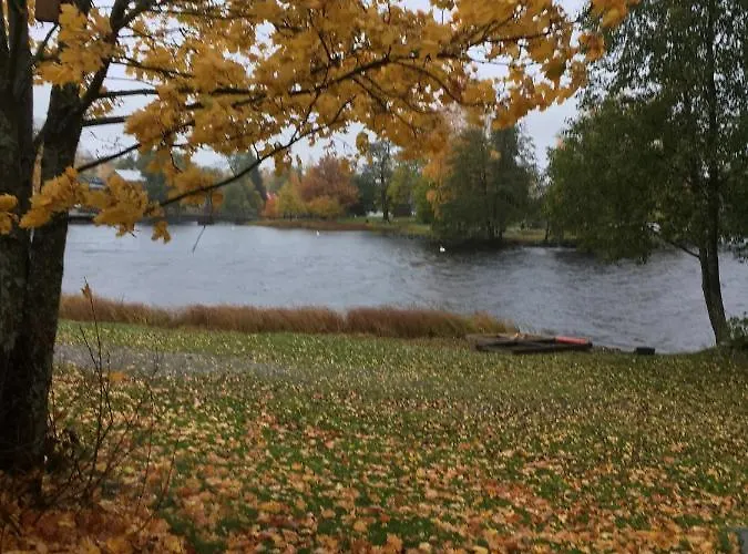 Cafe-restaurant & Saima *